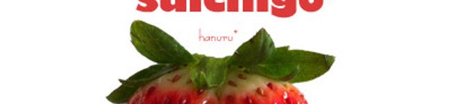 _suichigo_'s header image