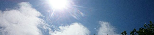 cocokimo's header image