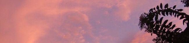 Lana's's header image