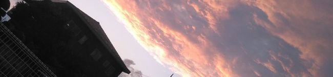 真田の女's header image
