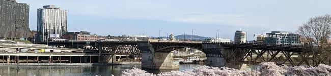 みりんかも's header image