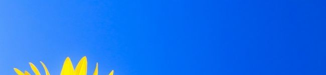 9972姉さん's header image