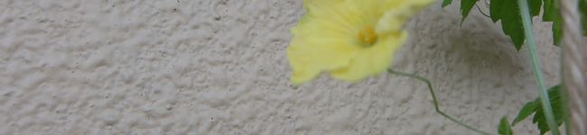 ma?'s header image