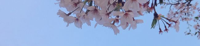 なな絃's header image