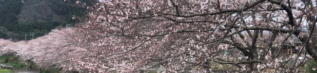 かずゆか316's header image