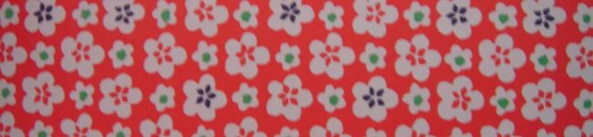 のりっしー's header image