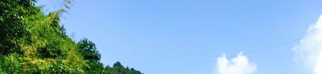 ハラペコパパ's header image