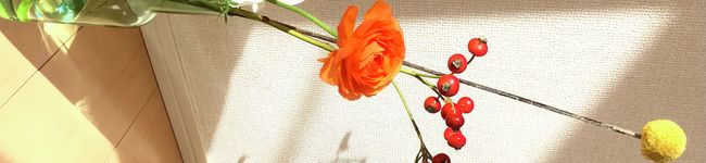 Hi○○'s header image