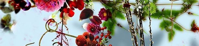 食いしん坊れなるど's header image
