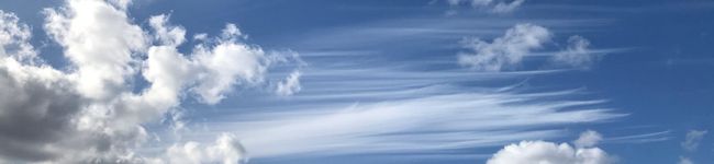 sapok's header image