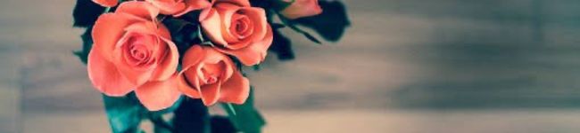 SARY☻カンパニー's header image