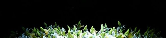 tomorrow?'s header image