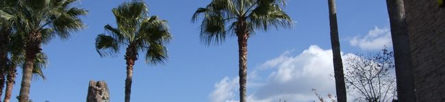 リさ、's header image