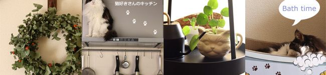 猫好きライダー's header image