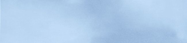 メラうさぎ's header image