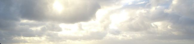 MintCoCo's header image