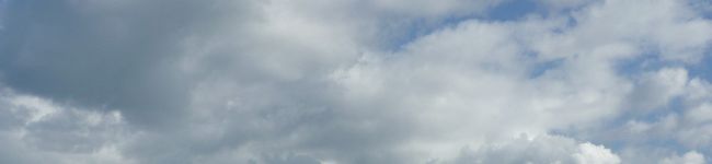 saomarin's header image