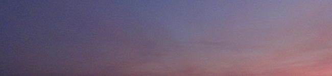 bamboo8810's header image