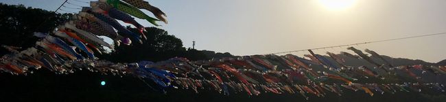 miharu0119's header image