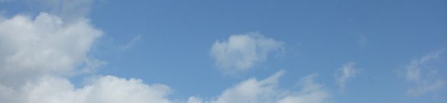 FREO MEGU's header image