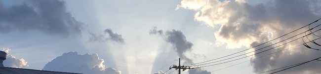 食い盛り家族ママ's header image