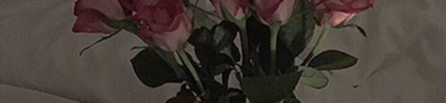 _013_'s header image