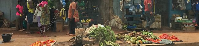 nafrica's header image