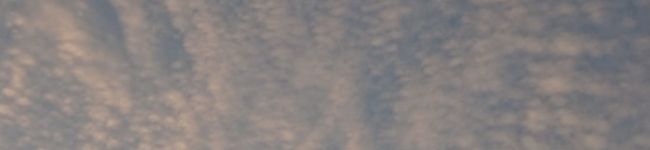もぁ✾'s header image