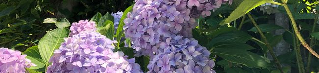ともぞー0730's header image