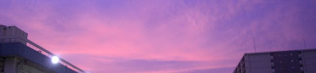 まめゆか's header image
