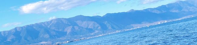 ひよひよひよりん's header image