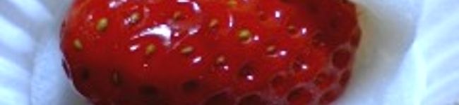 ｷｭｰﾋﾟｰﾊｳｽ's header image