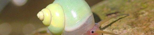 momo_22's header image