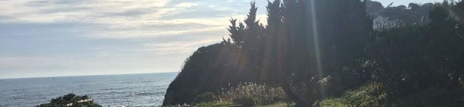 y_sayuri85's header image