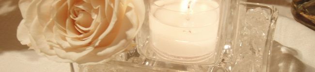 tessy*'s header image