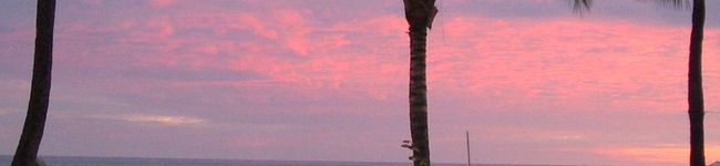 aki4's header image