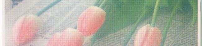 愛と誠's header image
