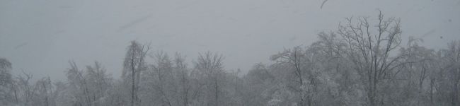 erueruko's header image