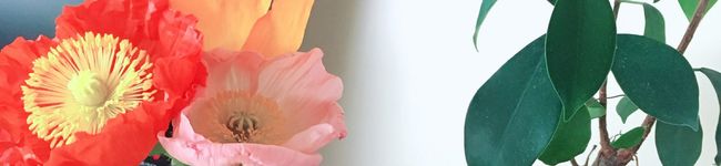 アルフレッドさん's header image