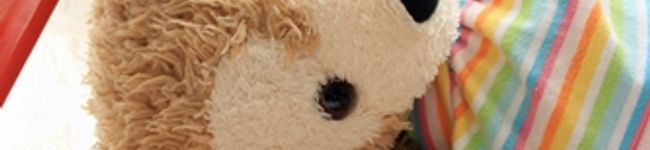 ココペハニフィ's header image