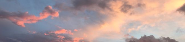 TORATORAぽん's header image