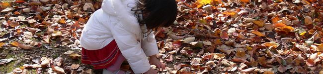 Riny's header image
