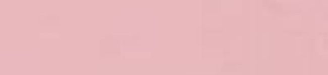 すだ。's header image