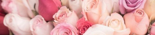 reikalemon's header image