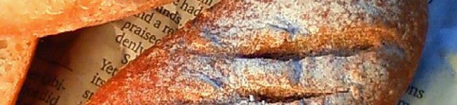 jagabeee's header image