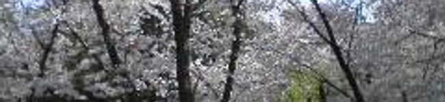 Bururin's header image