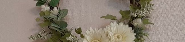ごろっとメグノーラ's header image