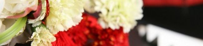 mer141's header image