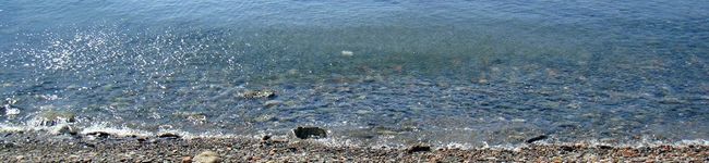 ayahata's header image
