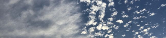 ほしあんず☆'s header image